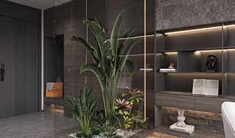 玄關風水，玄關處可擺放哪些物件？